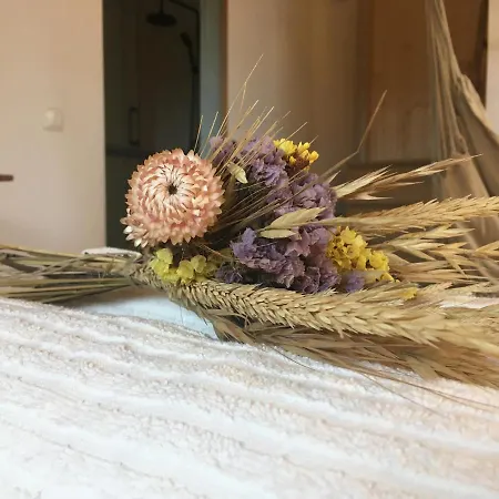 Casa Sobre O Mar * アルジェズール